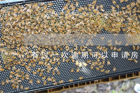 有过一次逾期可以申请房贷吗 有过一次逾期可以申请房贷吗