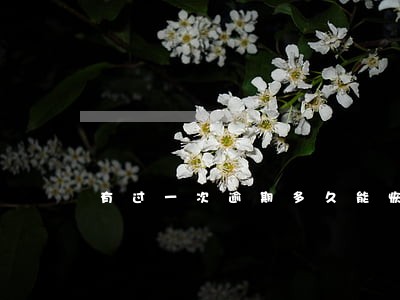 有过一次逾期多久能恢复 有过一次逾期多久能恢复