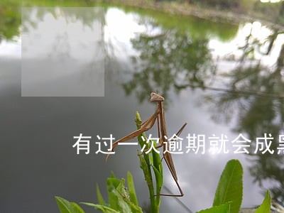 有过一次逾期就会成黑户嘛 有过一次逾期就会成黑户嘛