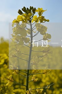 有过一次逾期平安贷款下不来