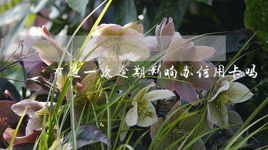 有过一次逾期影响办信用卡吗 有过一次逾期影响办信用卡吗