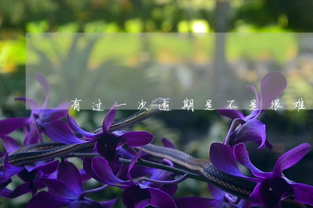 有过一次逾期是不是很难网贷