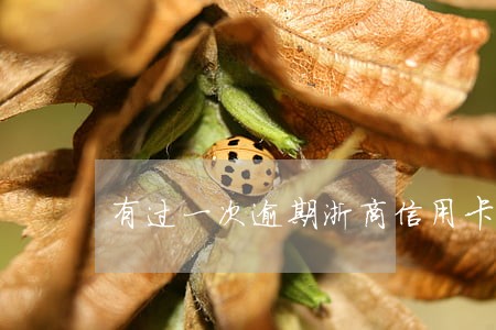 有过一次逾期浙商信用卡能批吗 有过一次逾期浙商信用卡能批吗