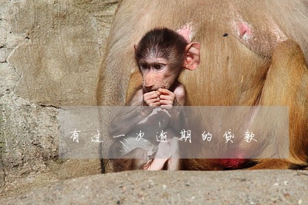 有过一次逾期的贷款