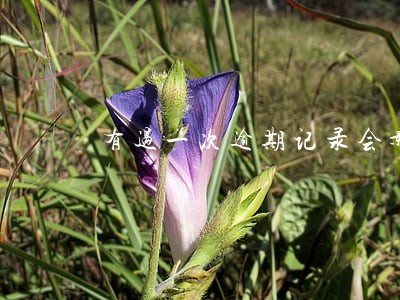 有过一次逾期记录会影响贷款吗
