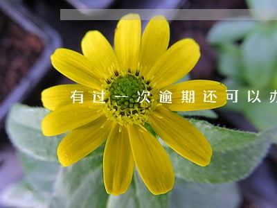 有过一次逾期还可以办信用卡吗