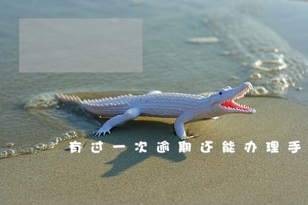 有过一次逾期还能办理手机分期吗 有过一次逾期还能办理手机分期吗