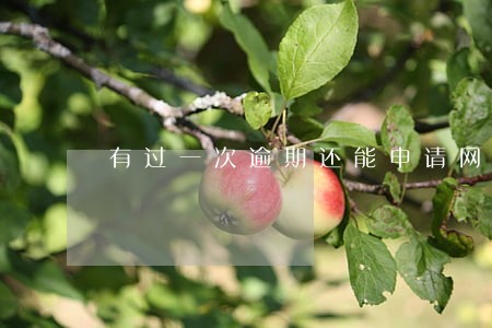 有过一次逾期还能申请网贷吗 有过一次逾期还能申请网贷吗