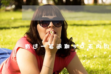 有过一笔逾期30天内的记录 有过一笔逾期30天内的记录