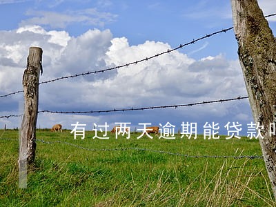 有过两天逾期能贷款吗 有过两天逾期能贷款吗