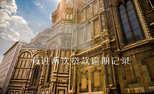 有过两次贷款逾期记录 有过两次贷款逾期记录