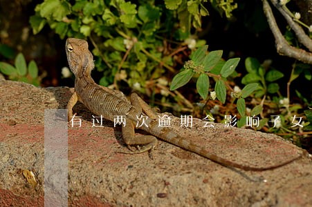 有过两次逾期会影响子女参军吗 有过两次逾期会影响子女参军吗