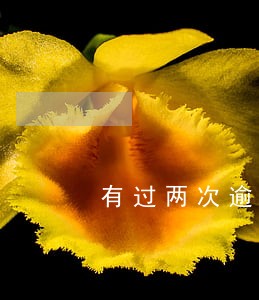 有过两次逾期公积金贷款 有过两次逾期公积金贷款