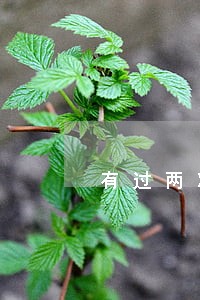 有过两次逾期可以进链家吗 有过两次逾期可以进链家吗