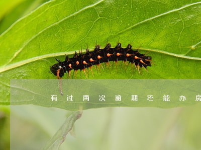 有过两次逾期还能办房贷么 有过两次逾期还能办房贷么