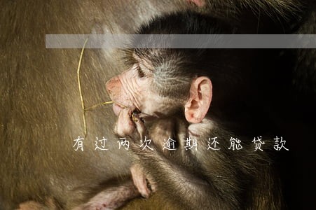 有过两次逾期还能贷款 有过两次逾期还能贷款