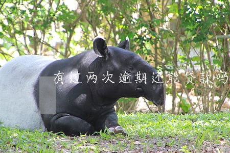 有过两次逾期还能贷款吗 有过两次逾期还能贷款吗