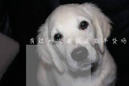 有过两次逾期还能车贷吗 有过两次逾期还能车贷吗