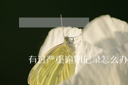 有过严重逾期记录怎么办 有过严重逾期记录怎么办