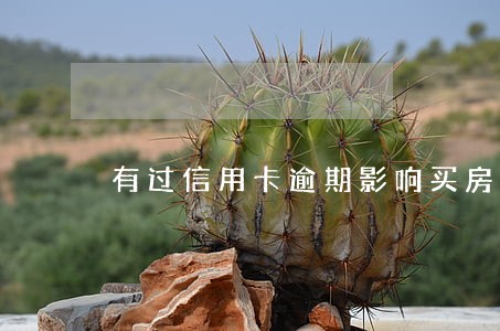有过信用卡逾期影响买房吗