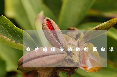有过信用卡逾期能再申请吗