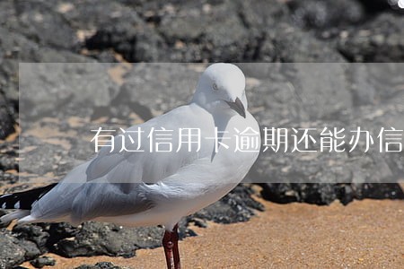 有过信用卡逾期还能办信用卡吗