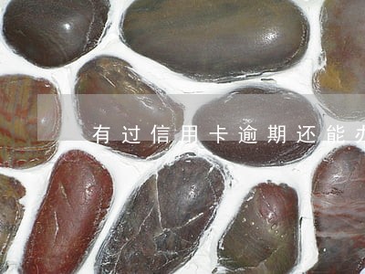 有过信用卡逾期还能办理房贷吗 有过信用卡逾期还能办理房贷吗