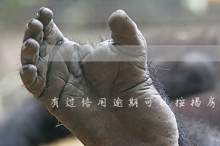 有过信用逾期可以按揭房垫资过桥 有过信用逾期可以按揭房垫资过桥