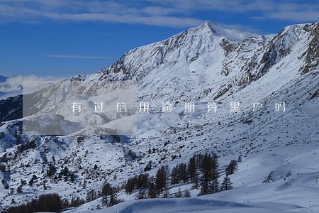 有过信用逾期算黑户吗 有过信用逾期算黑户吗