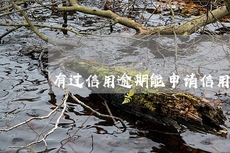 有过信用逾期能申请信用卡吗 有过信用逾期能申请信用卡吗