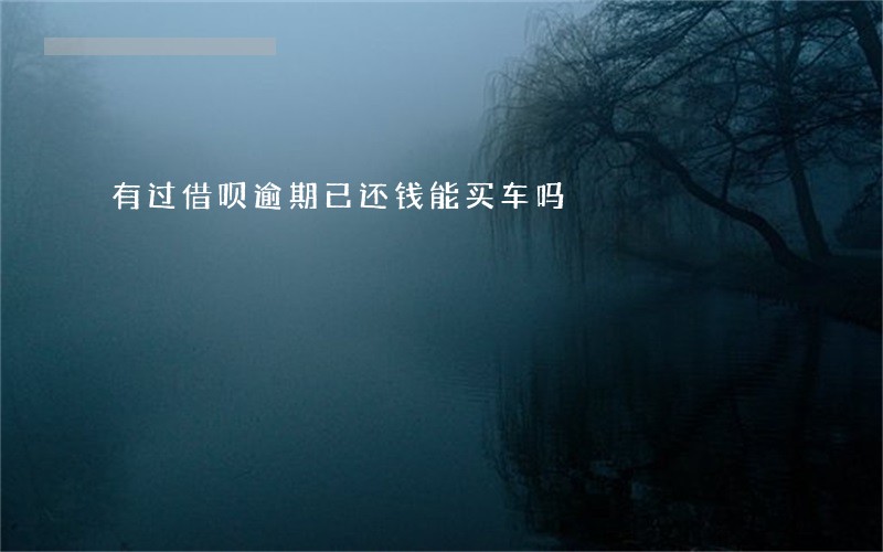 有过借呗逾期已还钱能买车吗 有过借呗逾期已还钱能买车吗