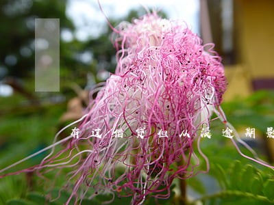 有过借贷但从没逾期影响车贷吗 有过借贷但从没逾期影响车贷吗