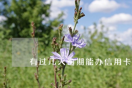 有过几天逾期能办信用卡么