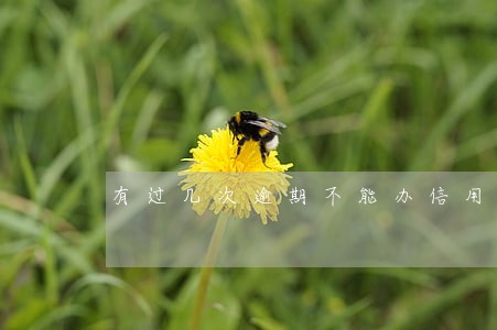 有过几次逾期不能办信用卡 有过几次逾期不能办信用卡