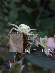 有过几次逾期能买房 有过几次逾期能买房
