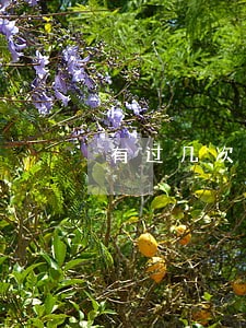 有过几次逾期能贷款买房吗 有过几次逾期能贷款买房吗