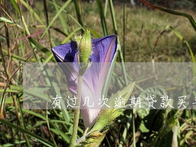 有过几次逾期贷款买车 有过几次逾期贷款买车