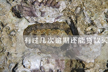 有过几次逾期还能贷款买车吗 有过几次逾期还能贷款买车吗