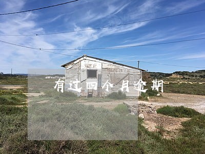 有过四个月逾期 有过四个月逾期