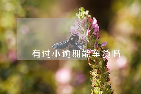 有过小逾期能车贷吗 有过小逾期能车贷吗