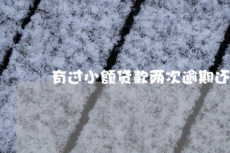 有过小额贷款两次逾期还能房贷吗 有过小额贷款两次逾期还能房贷吗
