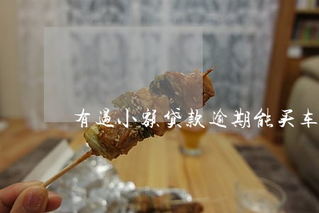 有过小额贷款逾期能买车吗 有过小额贷款逾期能买车吗
