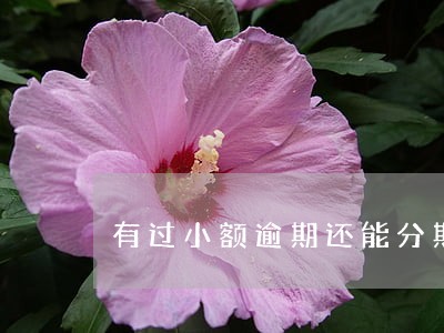 有过小额逾期还能分期买车吗 有过小额逾期还能分期买车吗