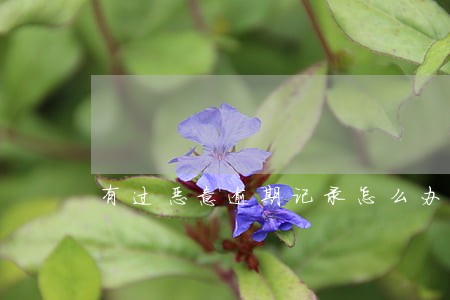有过恶意逾期记录怎么办 有过恶意逾期记录怎么办