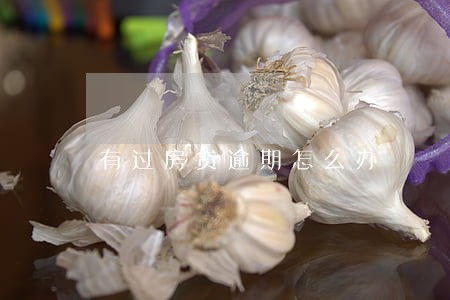 有过房贷逾期怎么办 有过房贷逾期怎么办