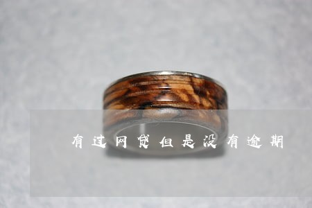 有过网贷但是没有逾期 有过网贷但是没有逾期