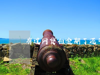 有过网贷但逾期了还可以买房吗 有过网贷但逾期了还可以买房吗