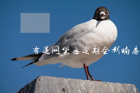 有过网贷无逾期会影响房贷吗 有过网贷无逾期会影响房贷吗
