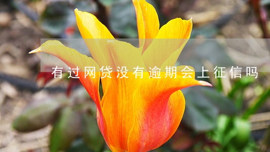 有过网贷没有逾期会上征信吗 有过网贷没有逾期会上征信吗