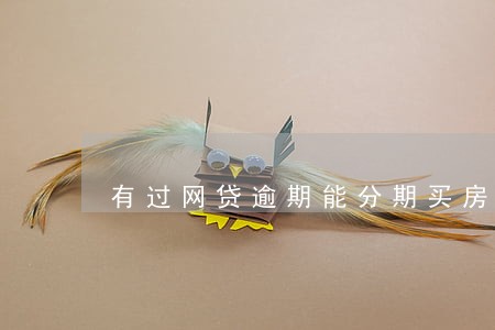 有过网贷逾期能分期买房吗